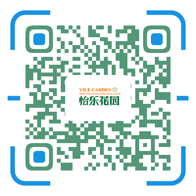 青島別墅庭院設計-濟南花園設計-庭院景觀設計裝修-怡樂花園