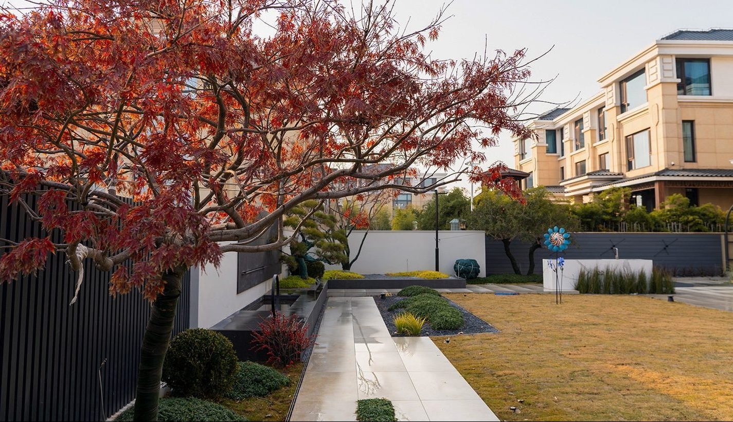 東營(yíng)花園設(shè)計(jì)實(shí)景|東營(yíng).泰和家苑780㎡現(xiàn)代簡(jiǎn)約花園